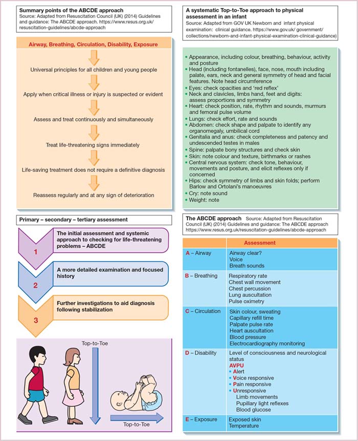 Principles Of Systematic Assessment | Nurse Key