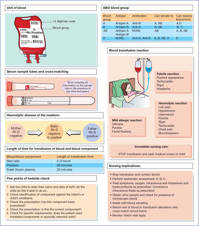 Transfusion Of Blood And Blood Components | Nurse Key