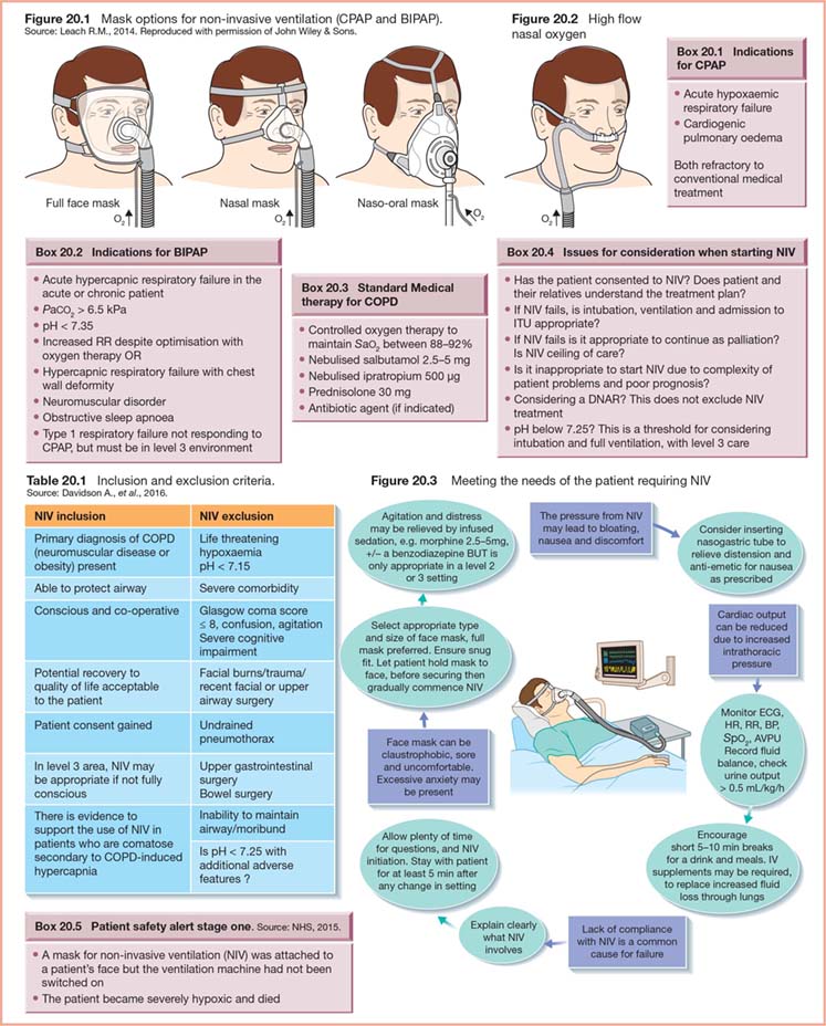 Advanced Airway Management | Nurse Key