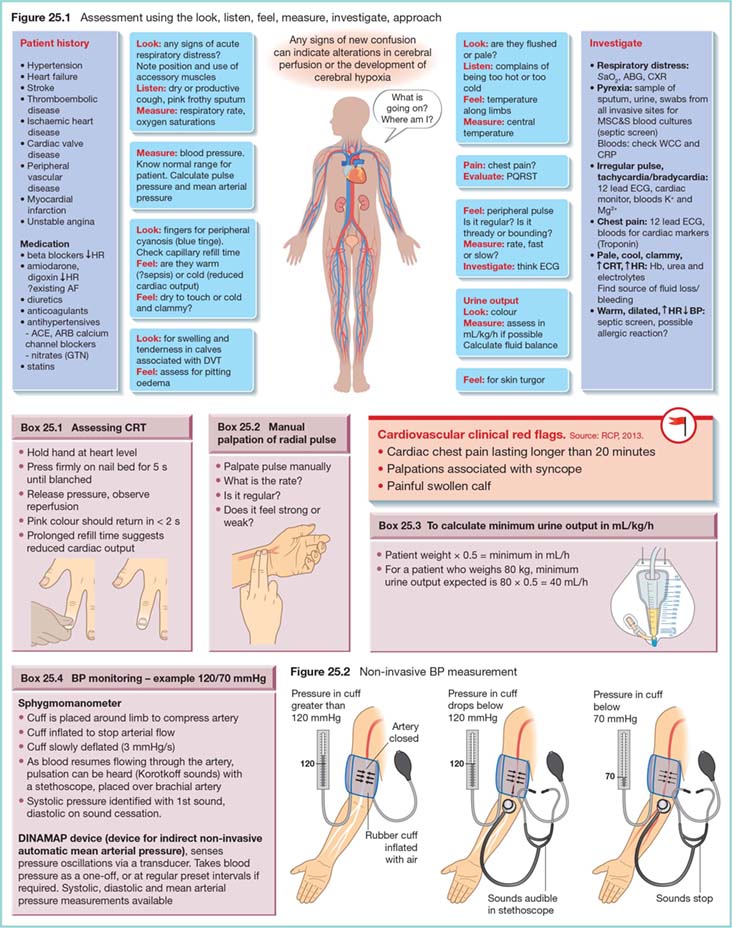 Assessment Of Circulation | Nurse Key