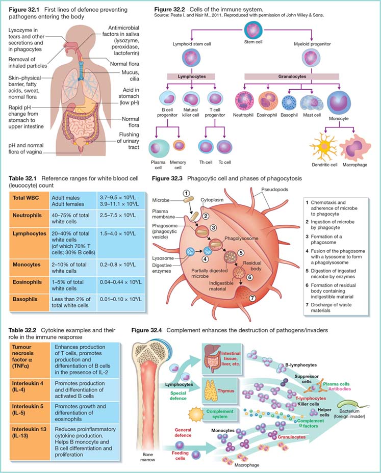 Physiology Of The Immune System | Nurse Key