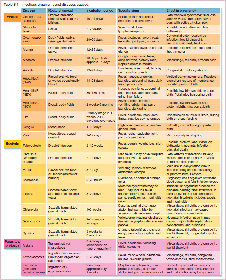 Infectious Diseases In Pregnancy | Nurse Key