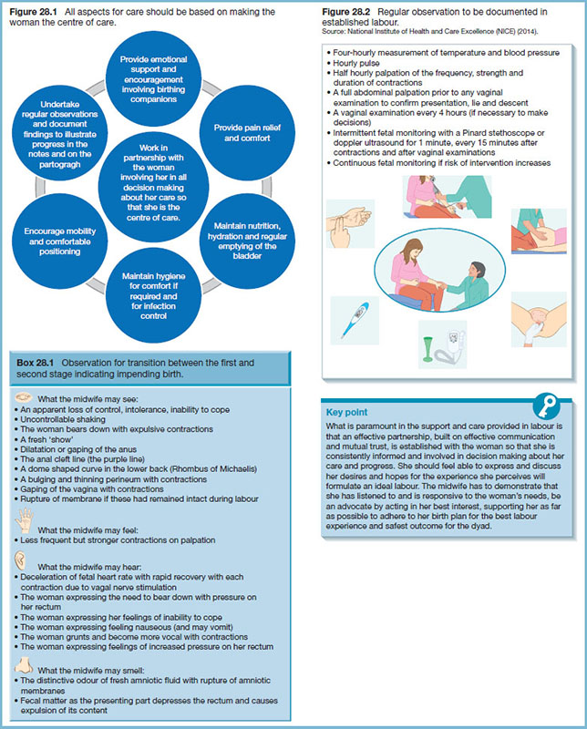 Supporting And Caring For Women In Labour | Nurse Key