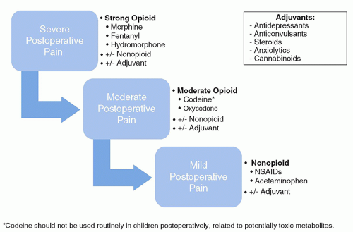 Surgical And Procedural Pain Management | Nurse Key